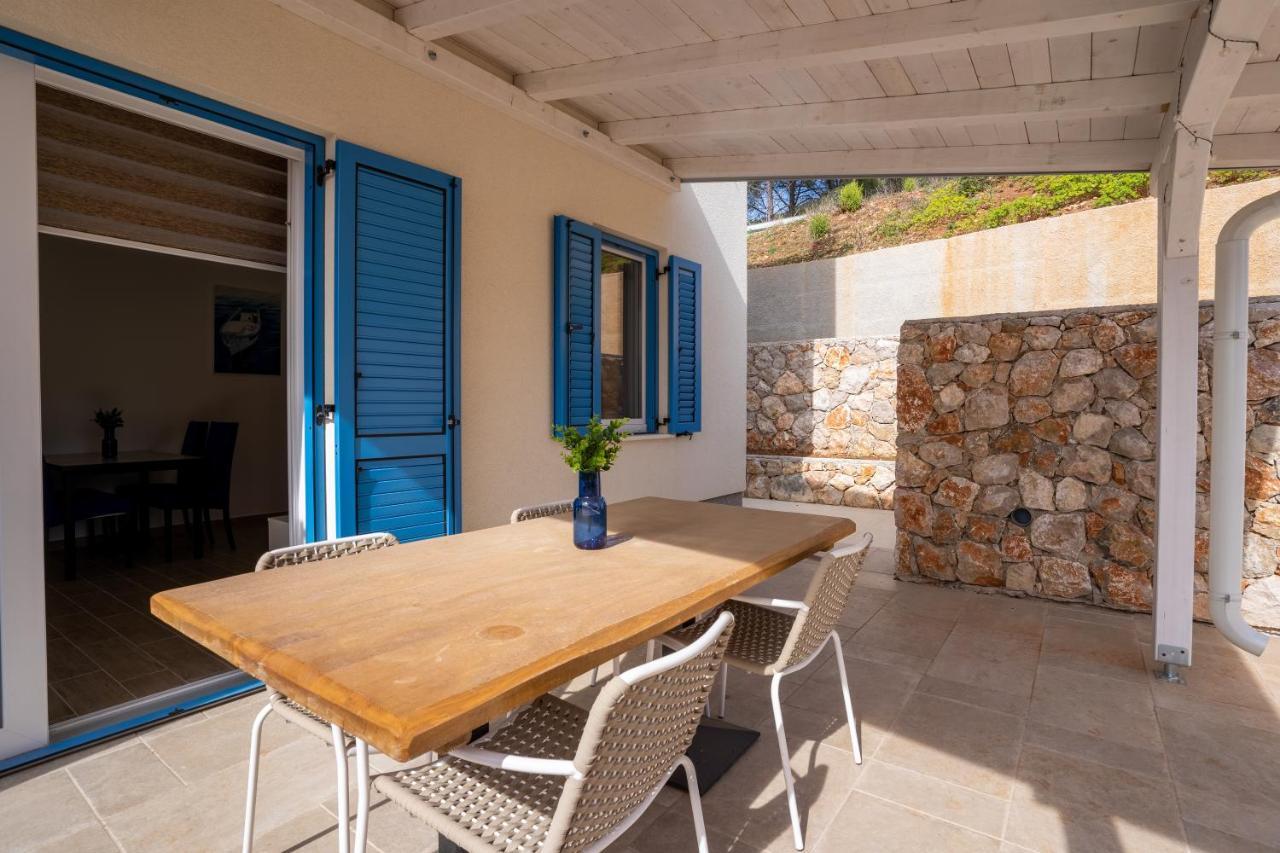 Blue Monstéra Cres